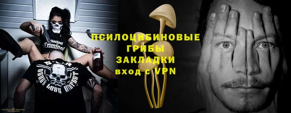 бошки Абаза