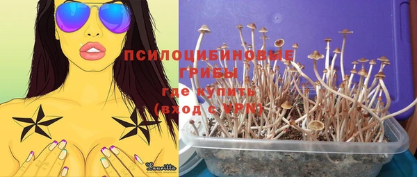 бошки Абаза